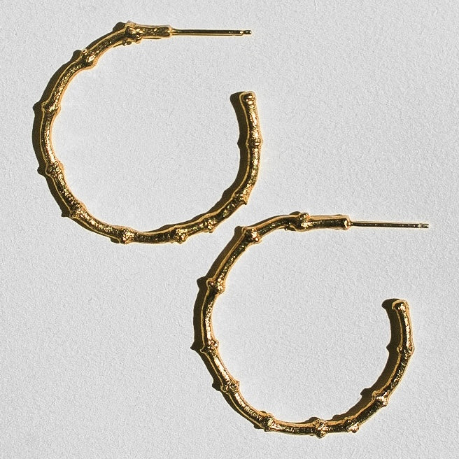 Desert Twig Hoops | 14 KT GOLD