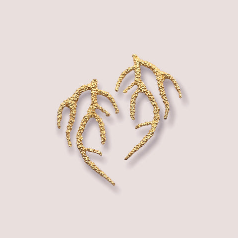 Coral Tree Studs